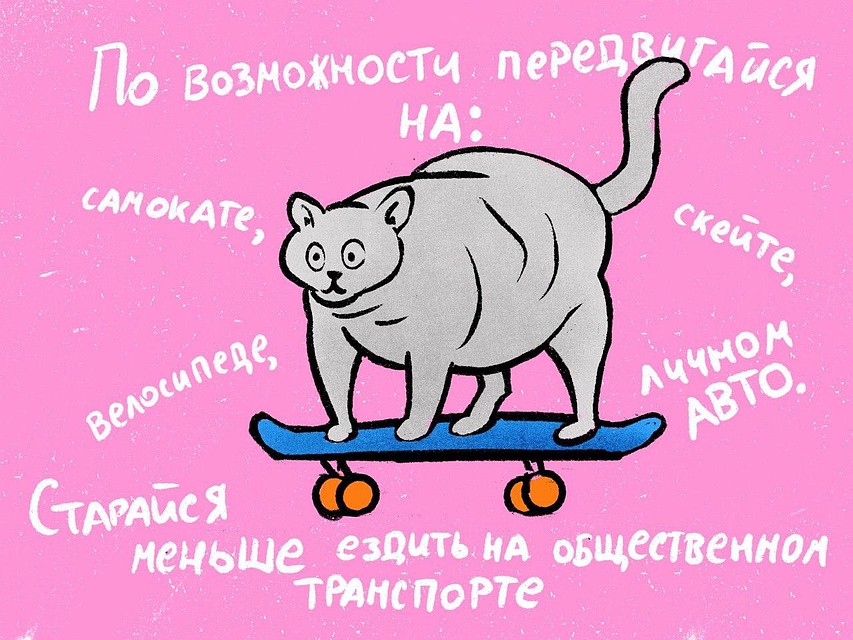 Передвигаться лучше не на общественном транспорте, а личном / Фото: ИТМО