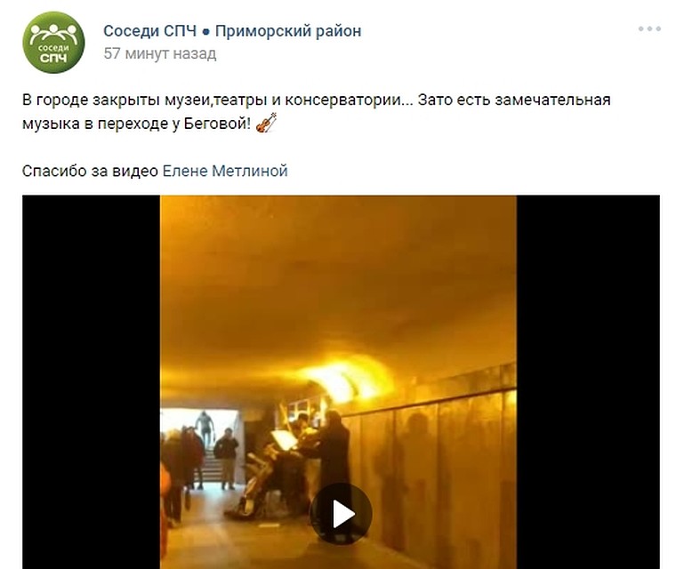 Об оркестре стало известно из соцсетей. Фото: vk.com/sosedi_kvartala