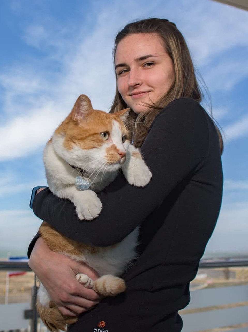 Кот - всеобщий любимчик. Фото: Кот Моста/VK