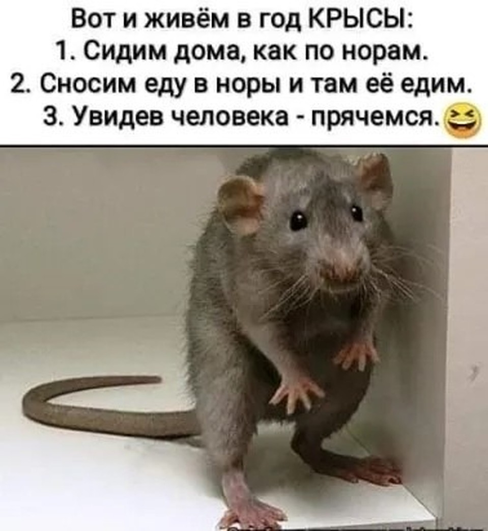 Картинки с самыми популярными хештегами
