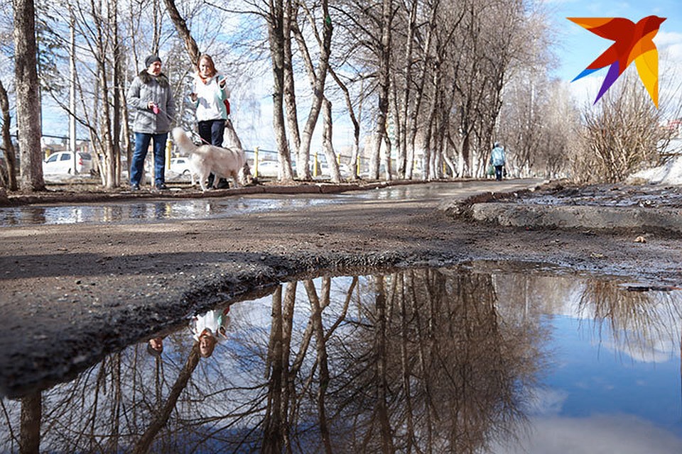 Фото: Сергей Грачев