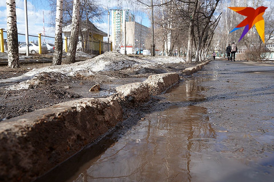 Фото: Сергей Грачев