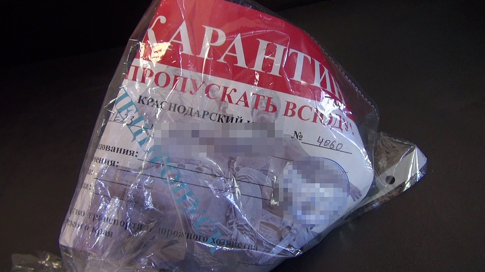 Тот самый пропуск, на котором погорел краснодарец. Фото: УМВД по Краснодару.