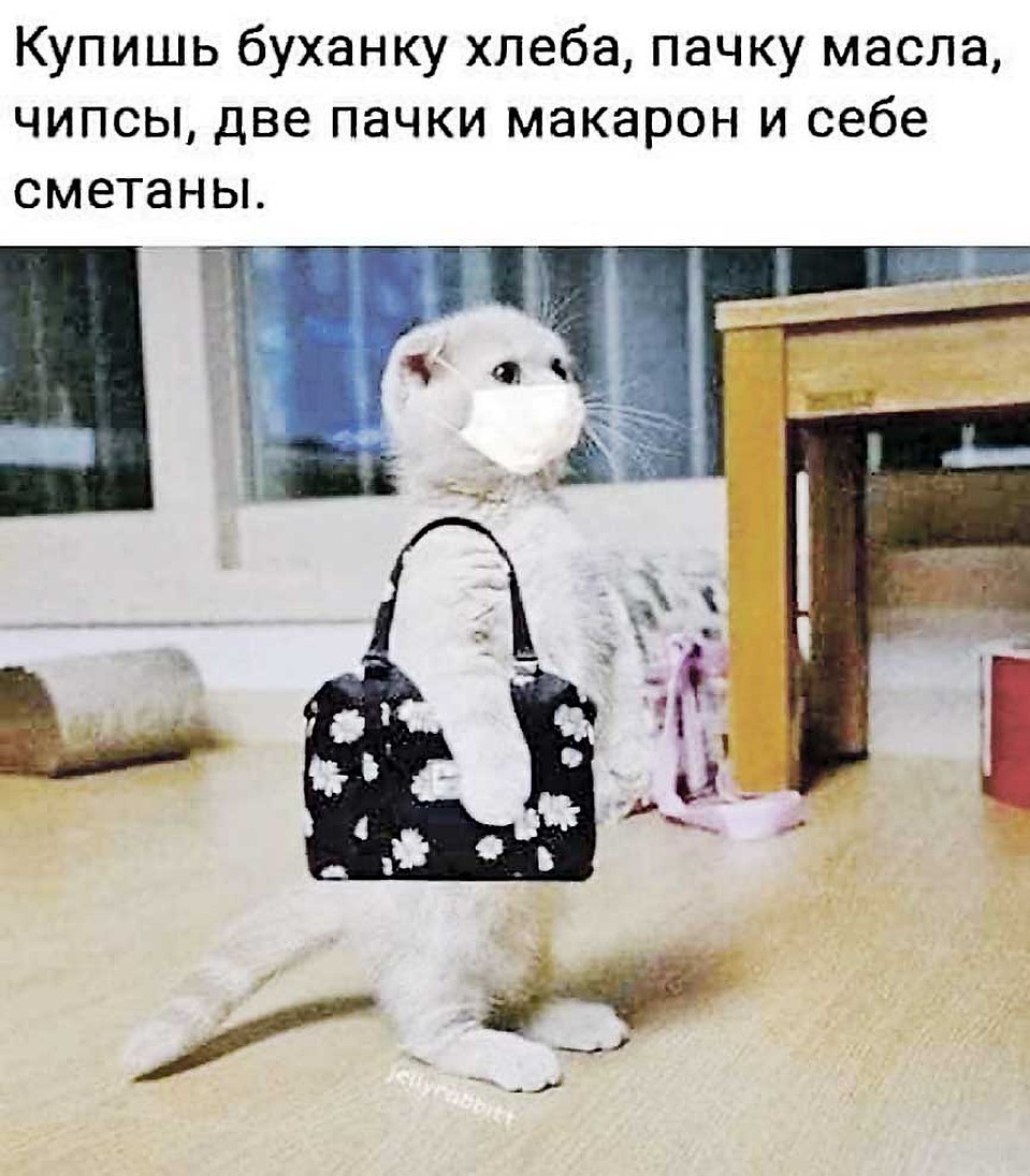 Шутка из интернета.