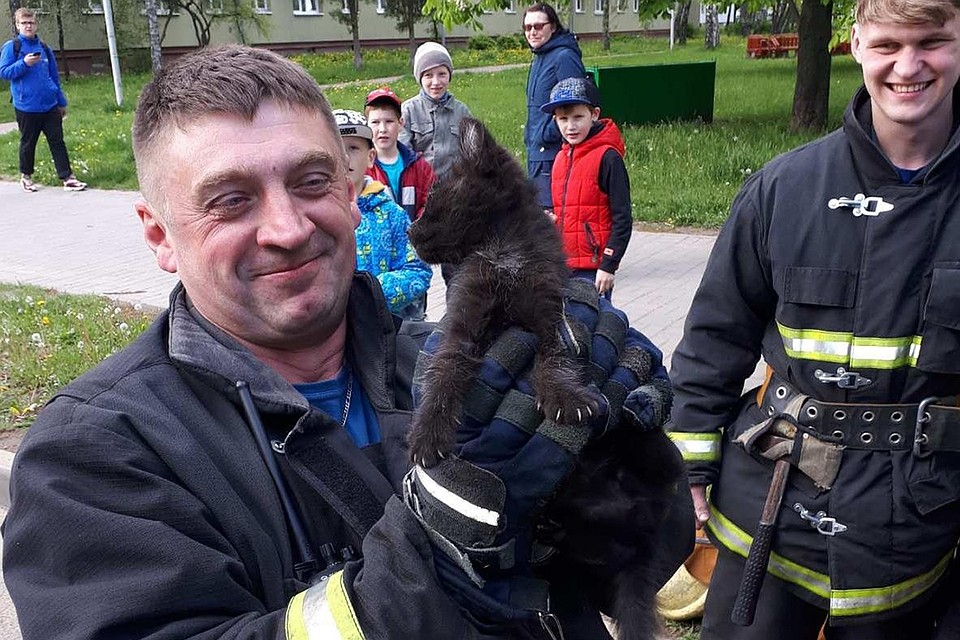 МЧС не обязано выезжать на подобные вызовы, но если нет чрезвычайных ситуаций, спасатели помогают животным - из соображений гуманности. Фото: МЧС.