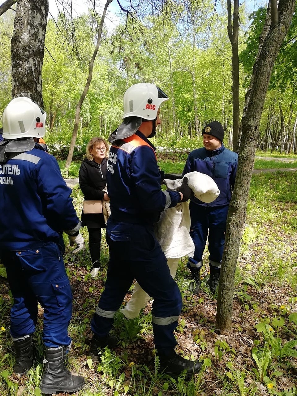 Специалисты рекомендуют аккуратно взять слетка и посадить на ветку.
