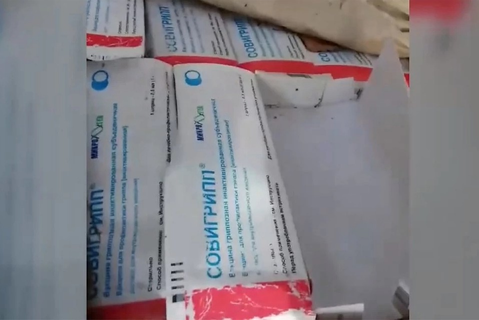 Александр Бастрыкин заинтересовался выброшенной в лесу под Дзержинском вакциной от гриппа. Фото: Типичный Нижний Новгород