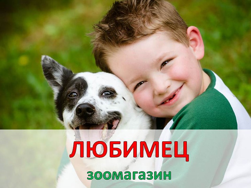Сеть зоомагазинов "Любимец"