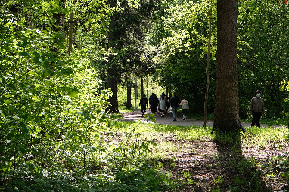 Фото: Алена Селезнева