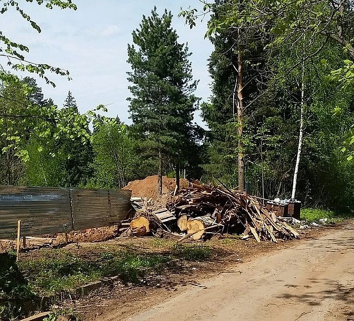 ФОТО: Ксения АКСЕНОВА