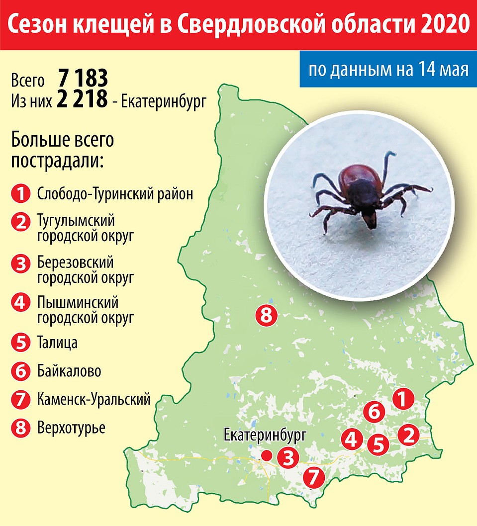 Самые опасные территории в Свердловской области Фото: Ксения КРИВОЩЕКОВА