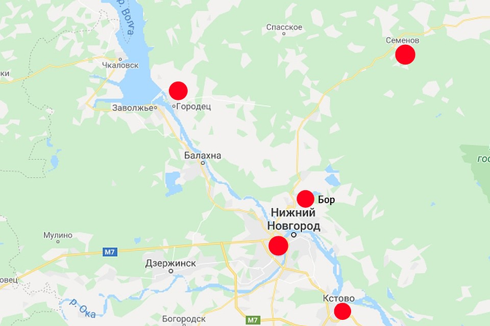 Сезон клещей в Нижегородской области 2020: Самые опасные районы на карте