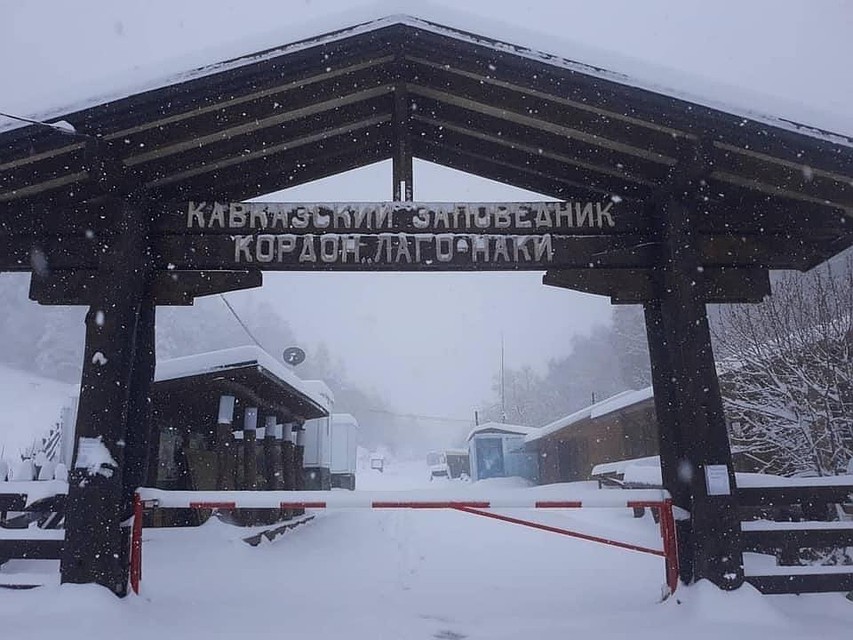 Снег выпал в Кавказском заповеднике.