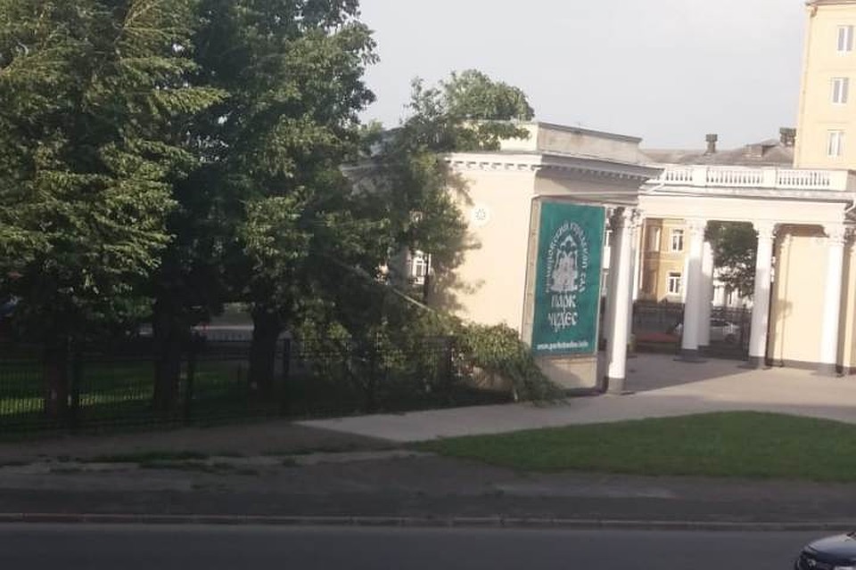 Тополь рухнул в кемеровском парке Чудес. Фото: Виталий ДЕНИСОВ