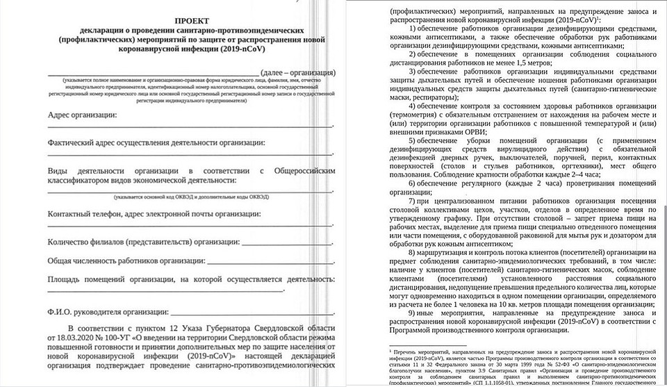 Выдержка из декларации Фото: Instagram Евгения Куйвашева
