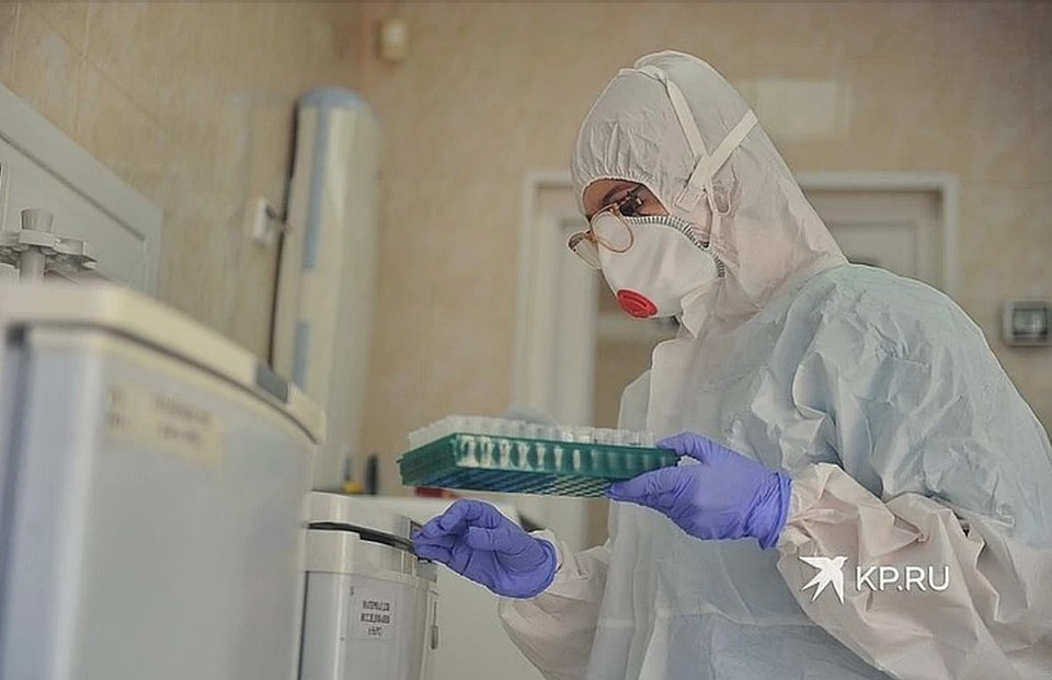 Ученые близки к началу тестирования вакцины Фото: Алексей БУЛАТОВ