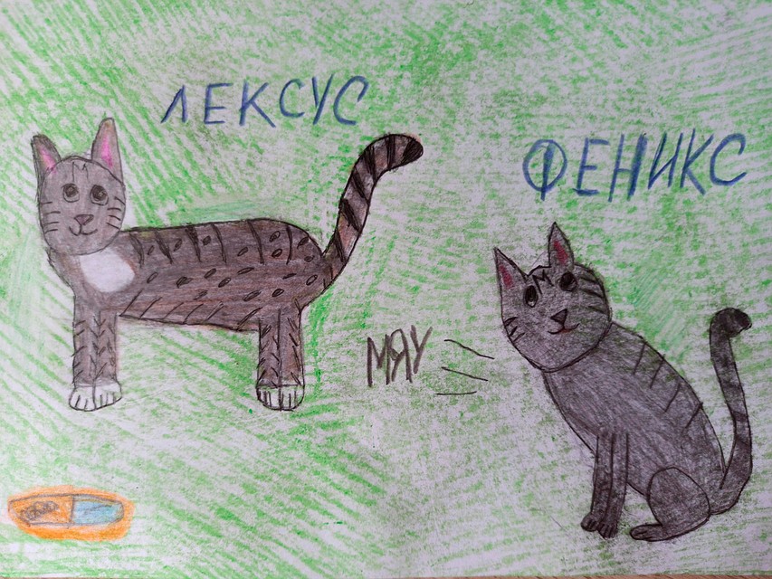 Коты Феникс и Лексус Ангелины Филипповой.