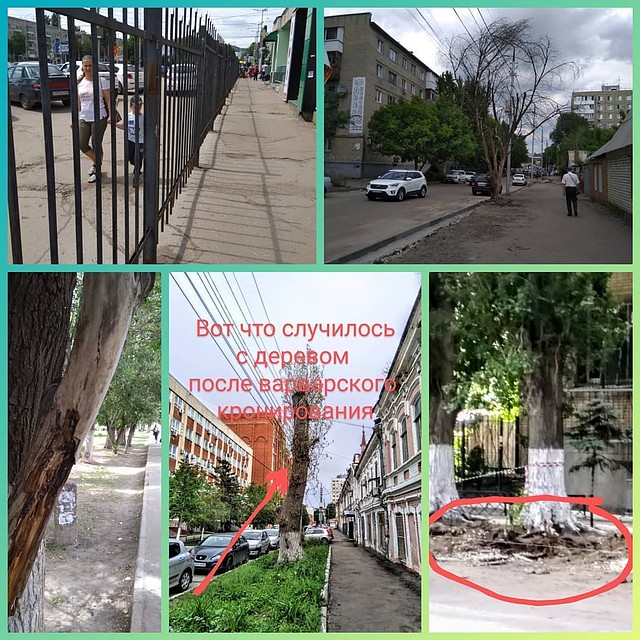 Фото из Instagram Ольги Сокольской