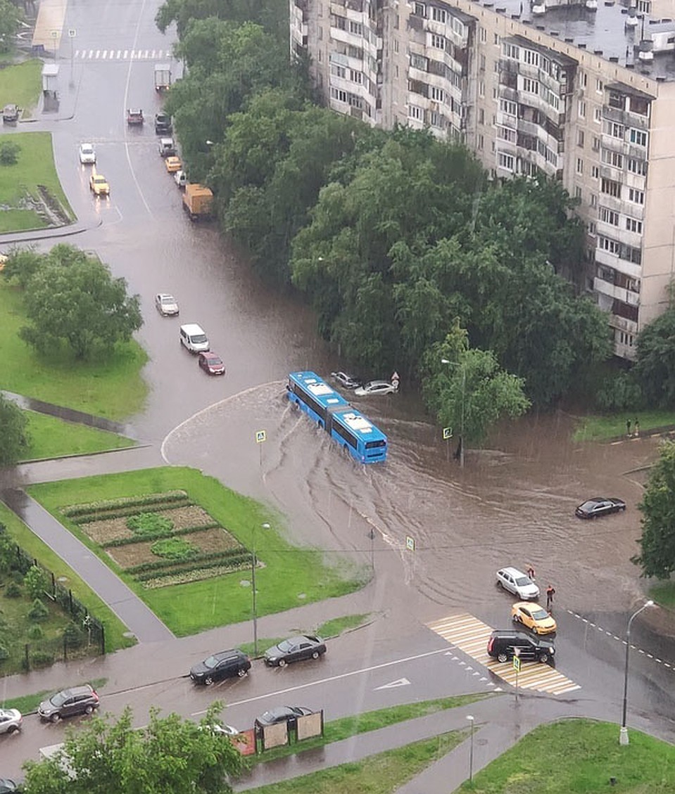 Кадр сделан в Бирюлево. Фото: СОЦСЕТИ