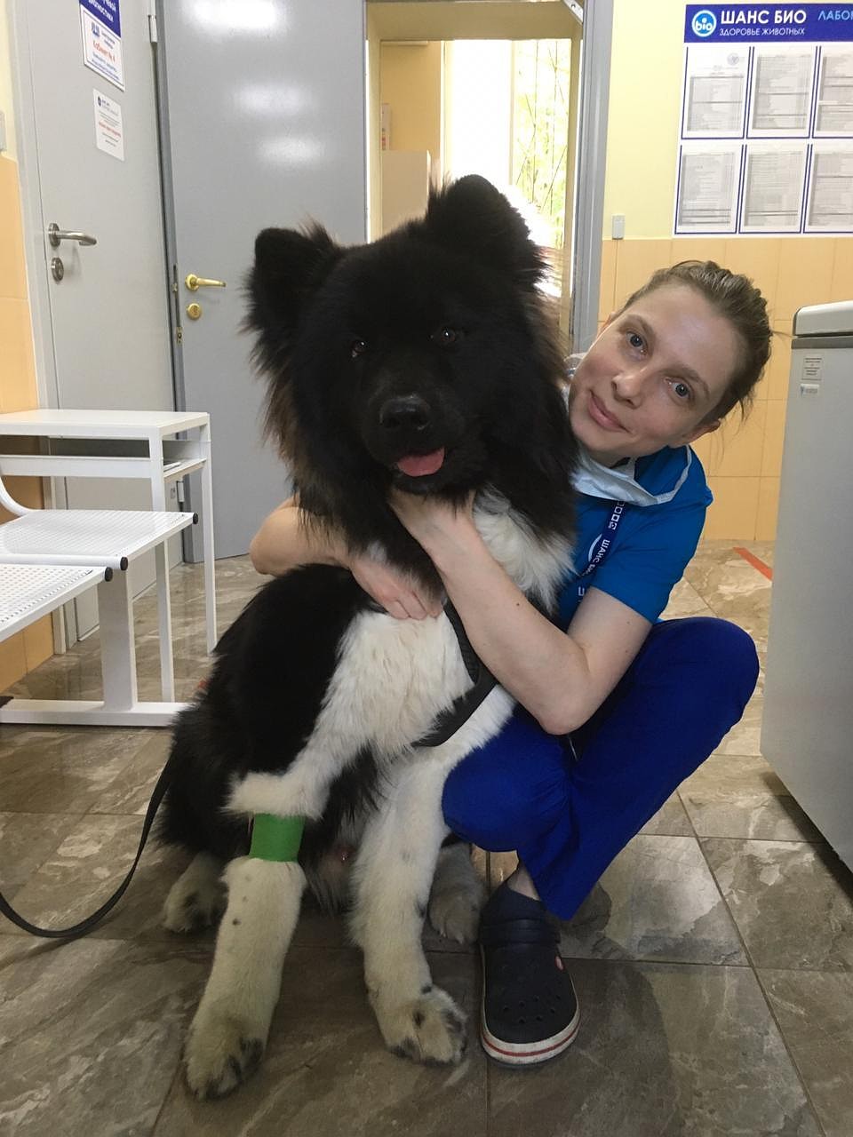 Ветеринар Анна Кордова с одним из недавних пациентов, который также перешил внезапное отравление Фото: Личный архив