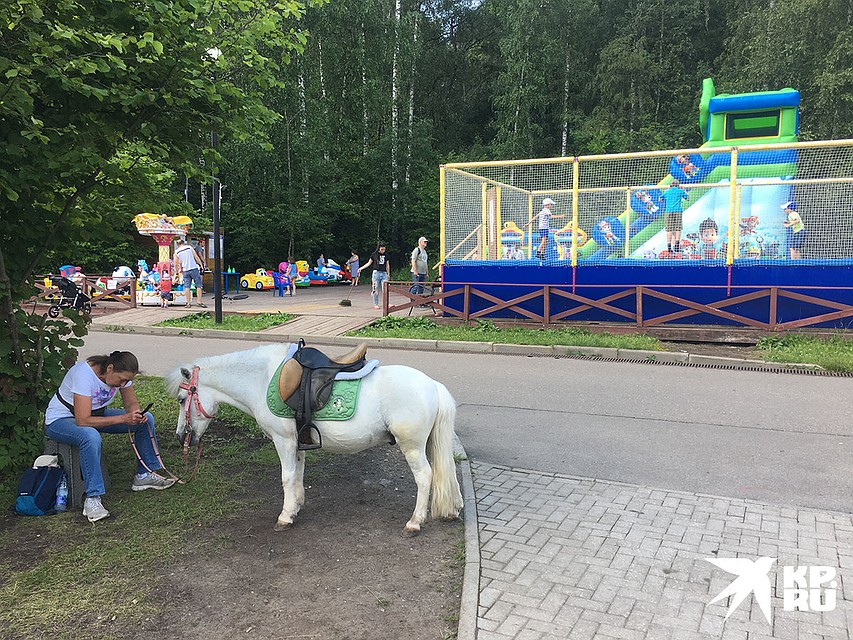 Покататься на пони в течение десяти минут стоит 300 рублей. Услуга сугубо для детей. Фото: Павел КЛОКОВ