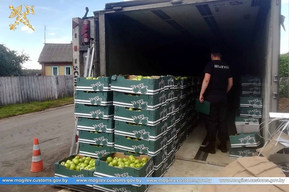 Изъятый груз таможенники оценили в 72 тысячи белорусских рублей. Фото: mogilev.customs.gov.by.