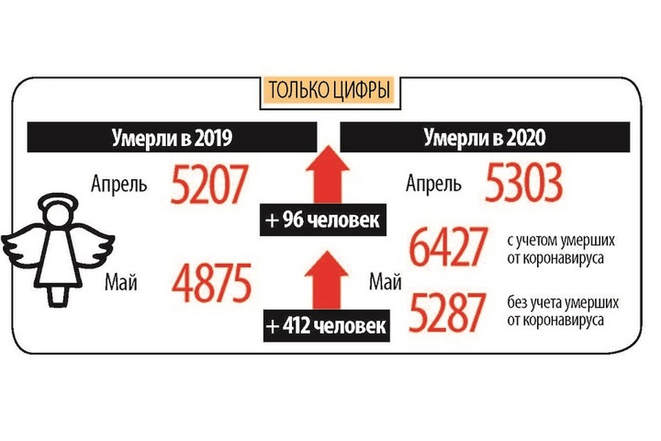 Смертность в Санкт-Петербурге за лето 2020-2019 годов: наглядно. Фото: инфографика kp.ru