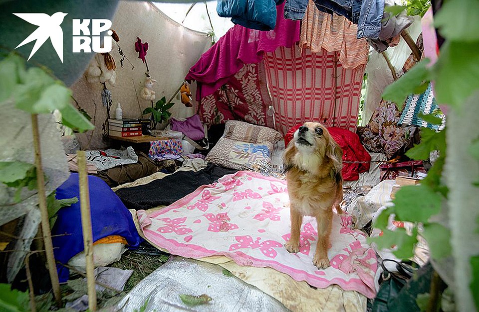 Так выглядело лесное убежище Фото: Андрей АБРАМОВ
