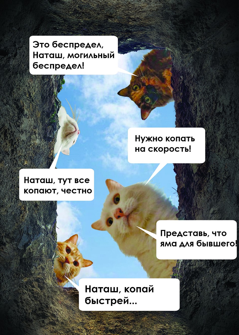 Организаторы даже сделали мем с котиками и могилой.