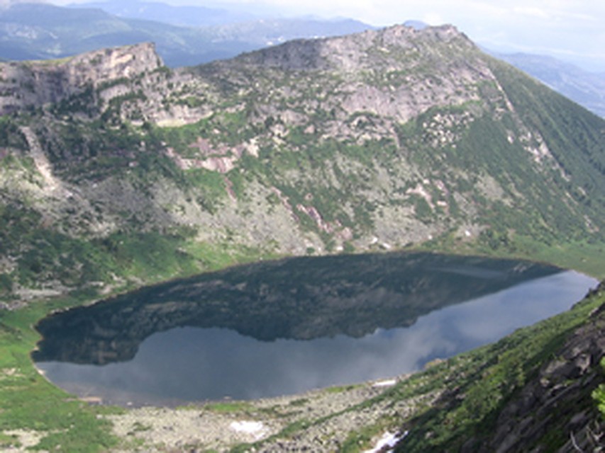 Золотарное