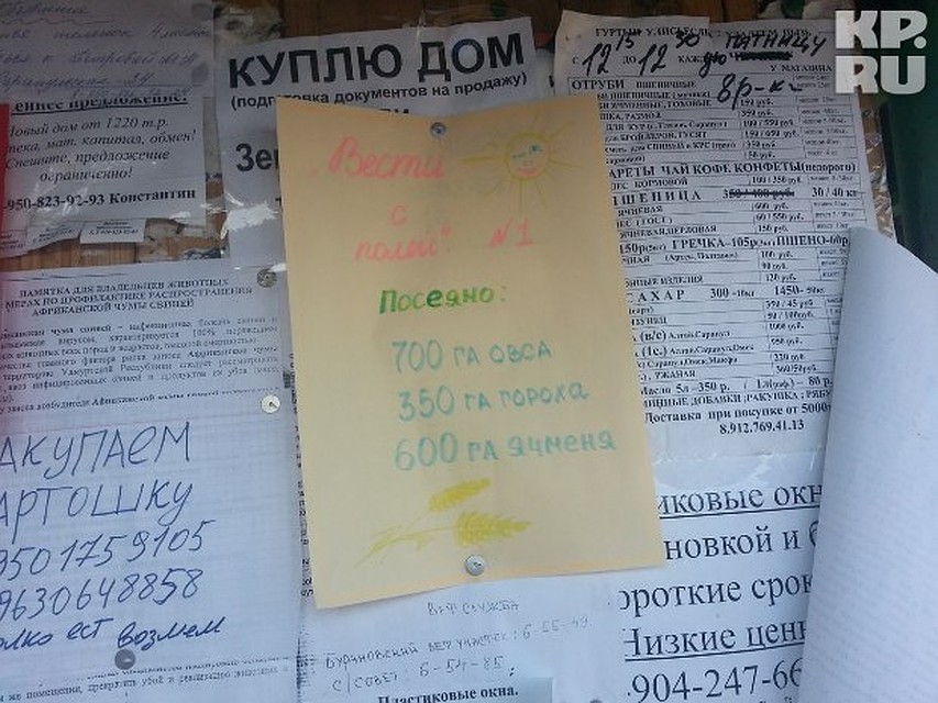 На доске объявлений у центрального магазина висит доклад, написанный цветными карандашами.