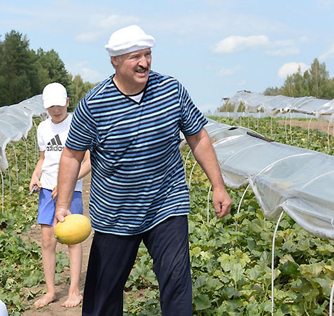 Оказалось дыни растут и в белорусском климате. Фото: president.gov.by