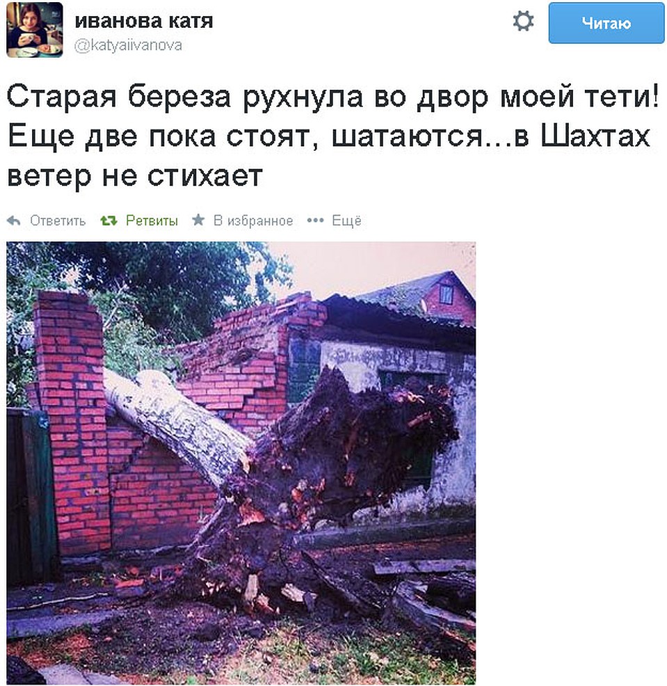 Кирпичная кладка не выдержала веса березы Фото: Екатерина ИВАНОВА