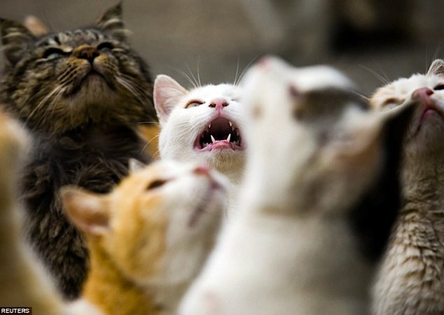 Фото: REUTERS