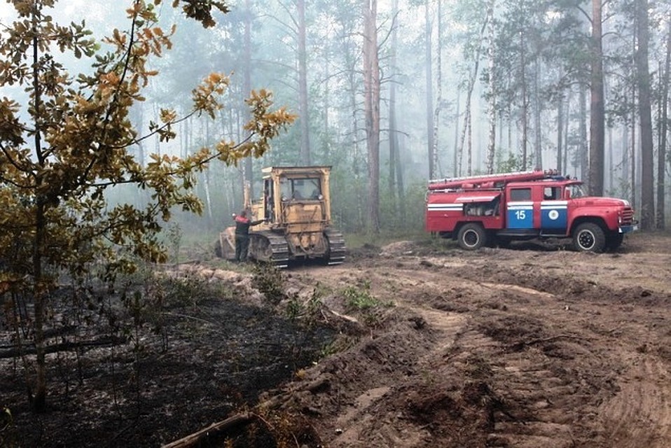 Всего пожар тушили 28 машин МЧС. Фото: МЧС.