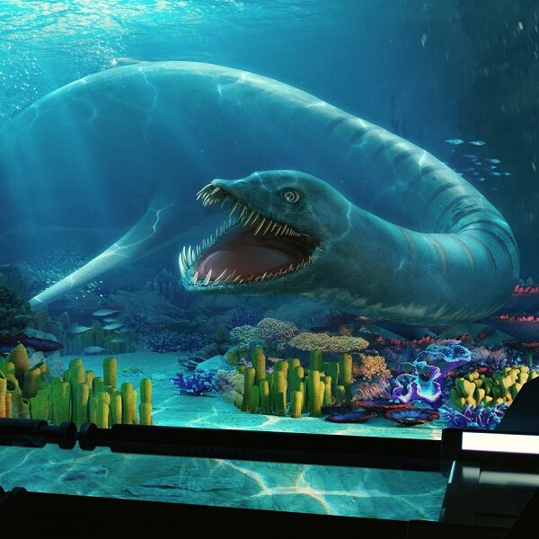 Фестиваль «Океан юрского периода»