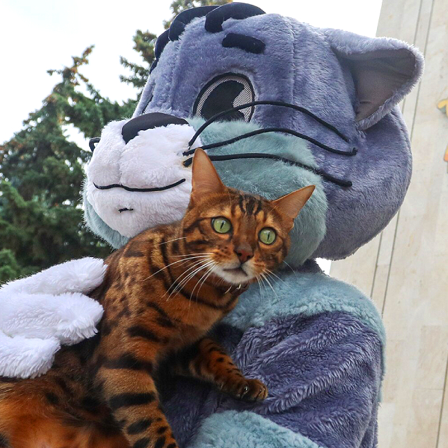 День Кота в Союзмультпарке
