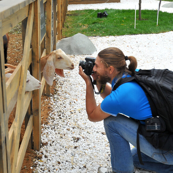 День Победы на Городской ферме ВДНХ
