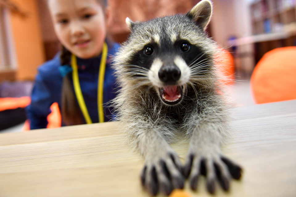 10 лучших антикафе в Москве в 2025 году