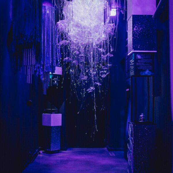 Выставка «SENSE. Почувствуй стихии» в Галерее МАРС