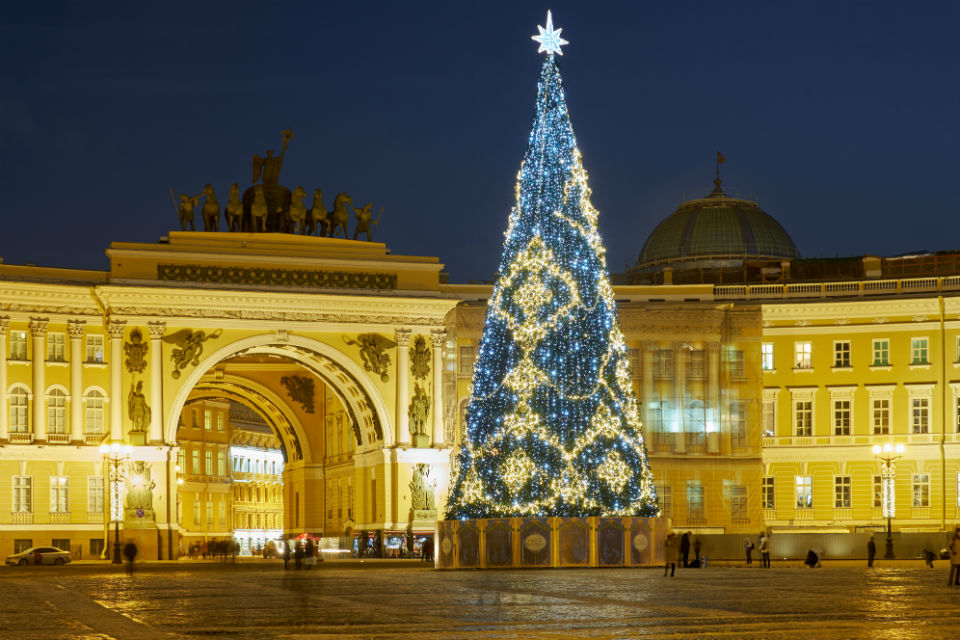 На Дворцовой площади впервые за много лет появится живая новогодняя елка