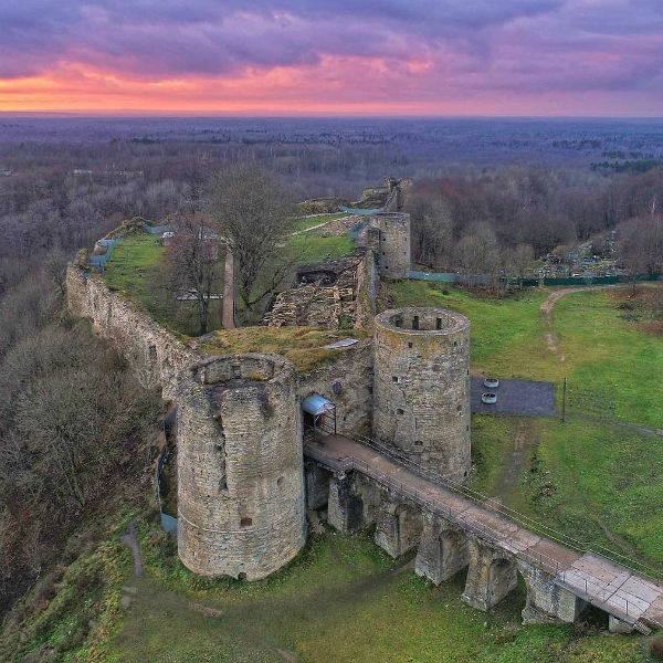 Музеям Ленинградской области разрешили работать в новогодние каникулы