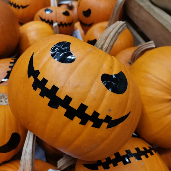 Хэллоуин в клубе VNVNC