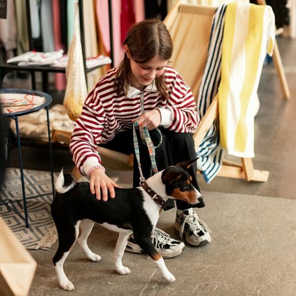 Фестиваль «Маркет Маркета»