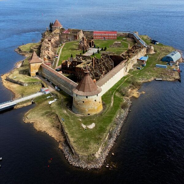 Выставка «Ближе передовой»