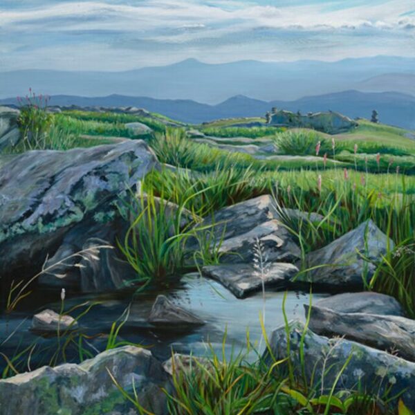 Выставка «В дороге»