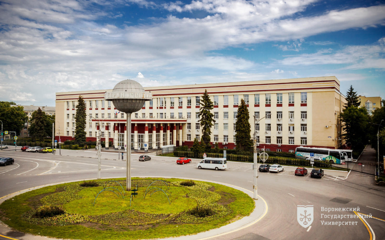 Воронежский государственный университет