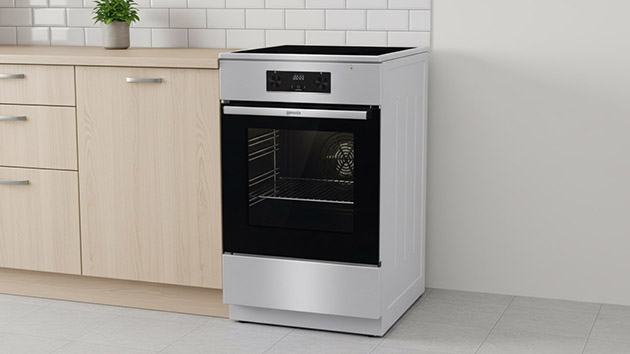 Gorenje GEIT5C61XPG. Фото: Павел Громов / Нейросеть