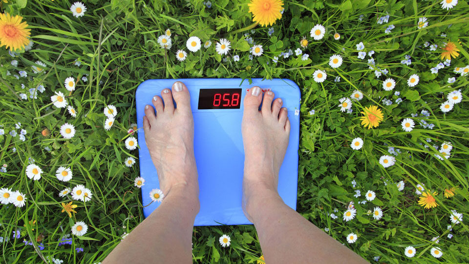 Лучшие умные весы 2023 года