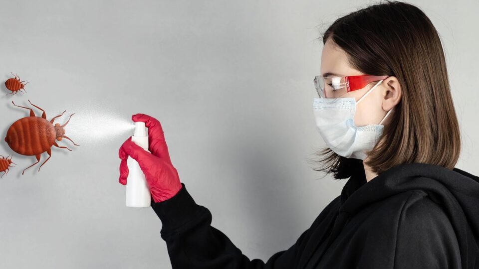 Самостоятельная обработка химическими средствами. Фото: Hit Stop Media / Shutterstock / Fotodom